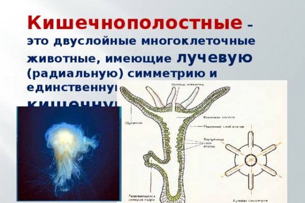 Восстановить доступ к кракену